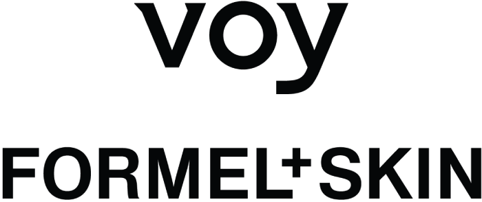 voy-logo