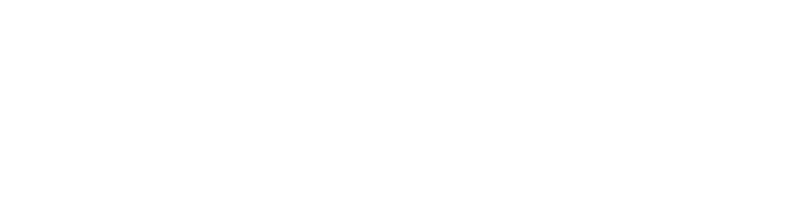 k5-konferenz-2027-logo-weiß